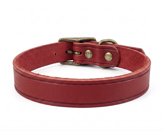 Collar de cuero